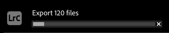 Screenshot showing the export status of 120 images from Lightroom Classic