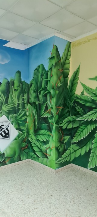 Cannabis graffiti cannabisclub csc fabian zolar #cannabisplant #streetart castellon