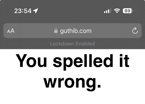 A screenshot of a webpage showing the domain "https://guthib.com," a typo for "github.com." 