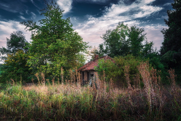 When I was walking in a field in nature one day in late summer, I came across a small grove and when I stepped further I saw this scene. An old ruined abandoned hut hidden in the bushes and surrounded by trees. It looked very sad and depressing. I wondered if anyone had ever lived here. I took a shot and went on my way thinking about this for a while.

One September day in Sumadija, Central Serbia. From the Huts and Cottages collection.