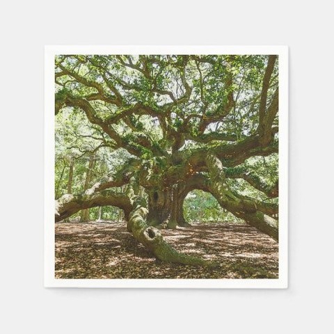Thank you to the buyer who purchased a Strong And Bold Paper Party Napkins https://www.zazzle.com/z/ayfv9cem?rf=238390870363339144 via @zazzle 
#partysupplies #zazzlemade