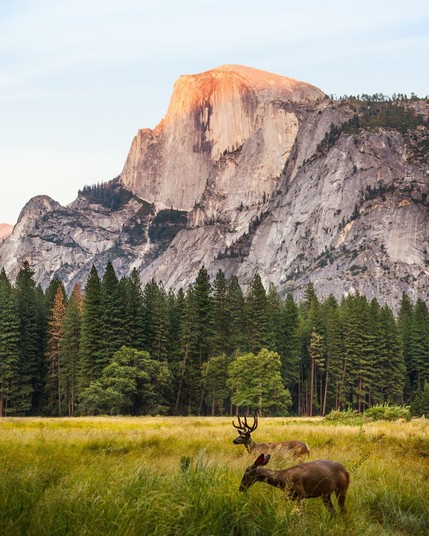 Yosemite National Park, USA