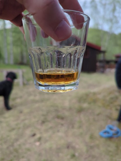 Glass of whisky against nature background 