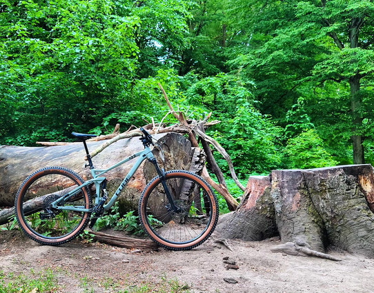 Ein Mountainbike vor einem gefälltem Baum. 