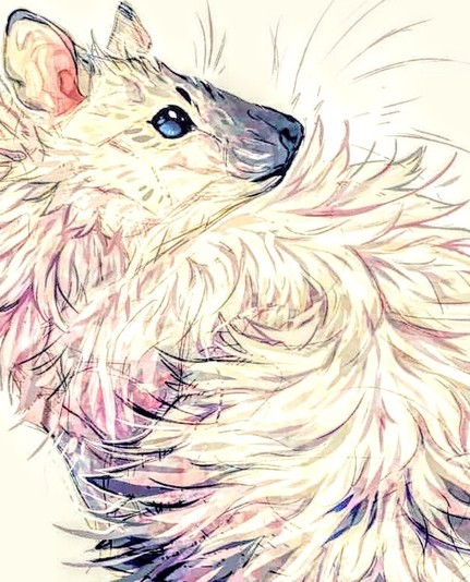 Cute little animal art