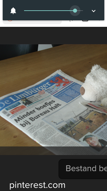 Knuffeldier leest de krant 