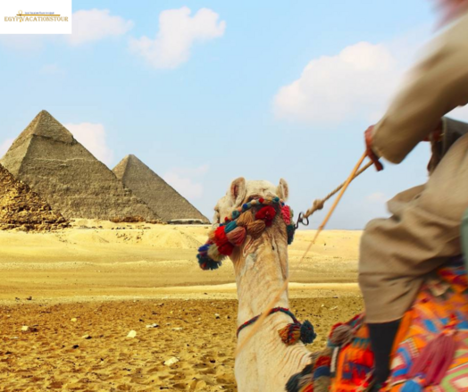 Arrive in Cairo and transfer to your hotel
Visit the Giza Pyramids and Sphinx
Explore the Egyptian Museum, home to King Tutankhamun's treasures