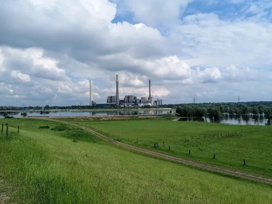 Rhein Melkplatz Blick Richtung Mellen
