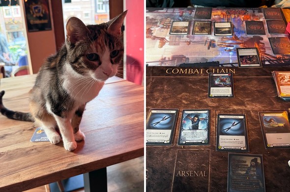 Split image: Left side shows a brown and white cat sitting on a table. Right side displays a card game in progress, featuring a playmat and various cards laid out in a 