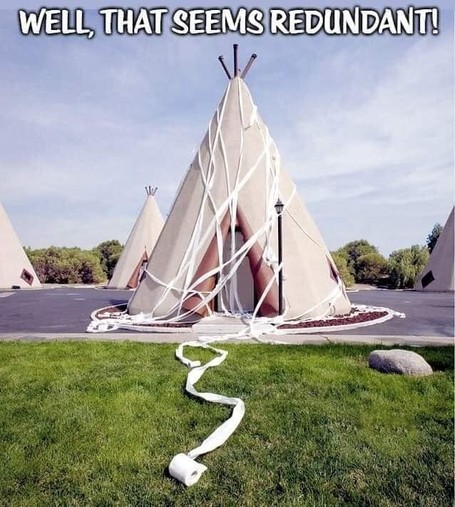 Image of an indian teepee covered in toilet paper.
Caption - Well, that seems redundant!