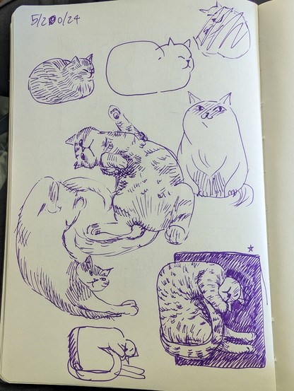 Various sketches of cats in blue ink on a white sketchbook page. The date 5/20/2024 written on the top left. Top two kitties are fat loaves. Two contorting cats on the left and center, and a cartoon cat to the right. Bottom left and right are drawings of a cat contorted into a u shape. The right is more detailed and finished.