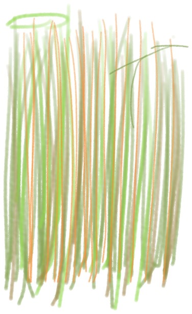 Arashiyama Bamboo Grove Forest