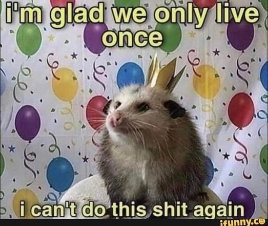 1. A possum in a birthday hat with the caption "I'm glad we only live once I can't do this shit again."
2. A cute possum celebrating with a birthday hat and a funny caption.
3. An adorable possum wearing a birthday hat and a hilarious quote.