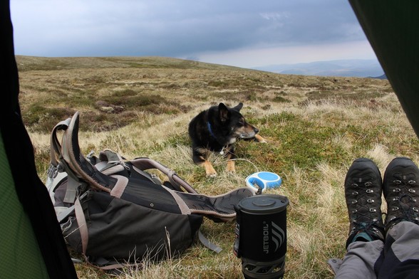 Looking out of a tent doorway onto a grassy hillside, my trouser legs and boots visible. Moray the dog is sat outside, next to my rucksack and a camping stove boiling water.