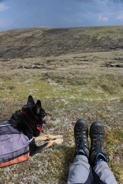 Sit club. Moray the dog wearing his panniers sat next to my trouser legs and boots. We're on a grassy hillside whish rises gently into the distance.