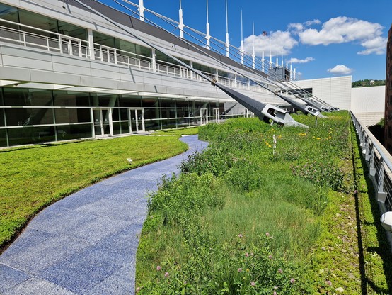 Wildflower rooftop terrace. 