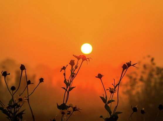Vivid sunrise in Ohio on a hazy morning by Dan Sproul.