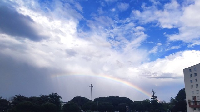 My photo of a rainbow a few days ago

From top to bottom :
- Blue sky above (no rain, sun ~behind us~ is hidden behind clouds)
- Rainbow on the skirt of the raincloud behind it.
- Raincloud with rain pouring down.
- Tree line