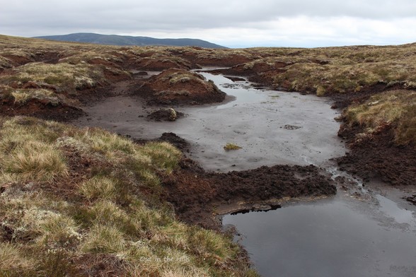 A very boggy peat grough surrounded by higher grassy ground.