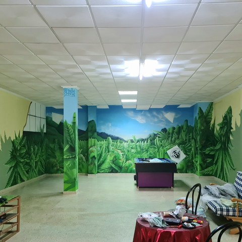Indoor canmabis mural graffiti, shaddows light, green , fabian zolar, castellon