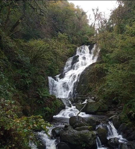 Waterfall in parkland around Killarney.