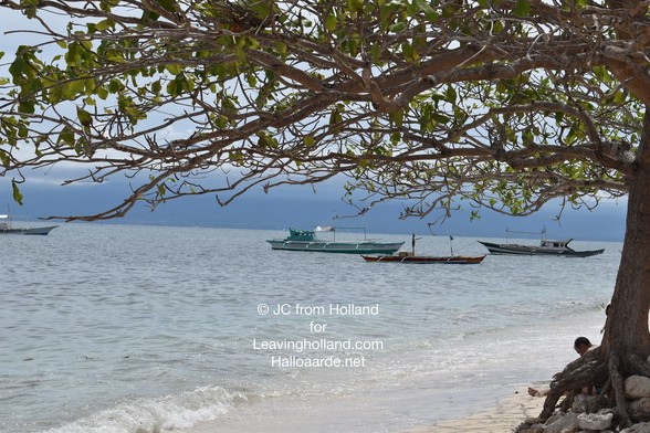 sea view in the Philippines, blue water, blue sky, a tree with branches hanging over the water, a view fishing boats (bankas) in the water to the left, small wave touching the white sand of the beach. 