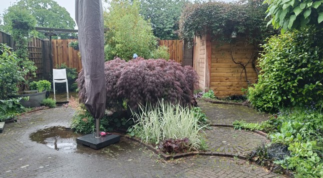 Lush green garden with terraces. A puddle on the pavement which shows circles of raindrops falling in. Wet wooden fences and shed