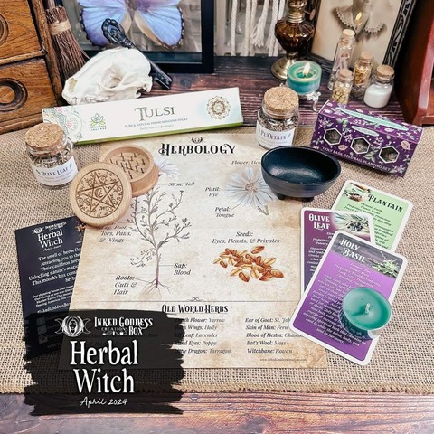 An array of herbal tools and references are arranged on a burlap-covered surface. The items include three Eclectic Witch Deck cards, seed bombs, dried herbs in small glass vials, a tiny black iron cauldron, a wooden herb grinder laser-engraved with a pentacle surrounded by vines, a pack of incense, and a full-color herbology cheat sheet with traditional names for the parts of a plant. These are the contents of the exclusive April 2024 "Herbal Witch" Inked Goddess Creations Box.