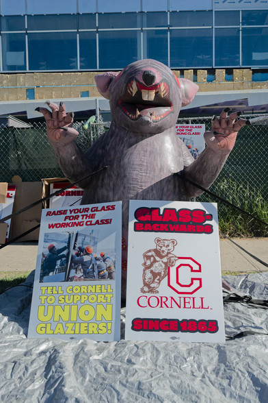 Inflatable rat with open mouth and claws in front of a sidewalk in front of a fenced-off construction site with an unfinished building is clad partially in glass and partially in yellow and blue insulation panels as the outermost layer hasn't been installed yet.

In front of the rat are two signs: "RAISE YOUR GLASS FOR THE WORKING CLASS" with a photo of orange-helmeted glass workers and the caption "TELL CORNELL TO SUPPORT UNION GLAZIERS".  The other side reads "GLASS-BACKWARDS" and has a Corne…