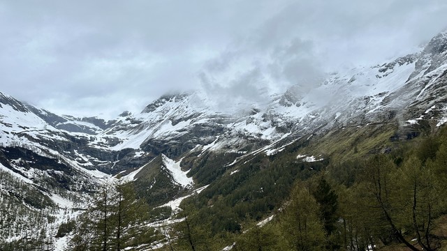 Blick von der Alp Grüm in Richtung Palü.
Der Himmel ist grau verhangen, Nebelfetzen ziehen über die grösstenteils noch frisch verschneiten Hänge. Die Bäume wirken dürr.
