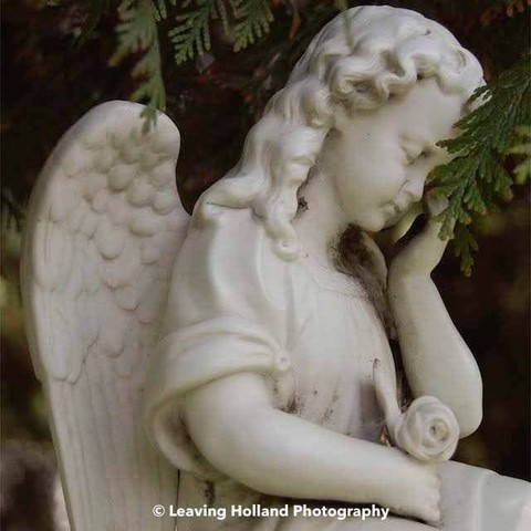 White marble angel weeping, one hand for the right side of it's face, touched by the green of the tree where it is placed underneath. In its lap a rose