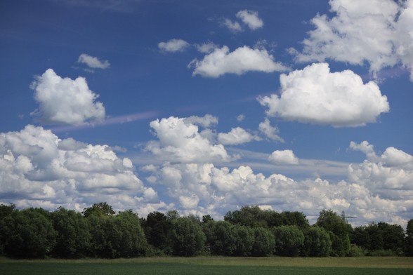 Landschaft mit Baumreihen, blauer Himmel mit Schäfchenwolken.