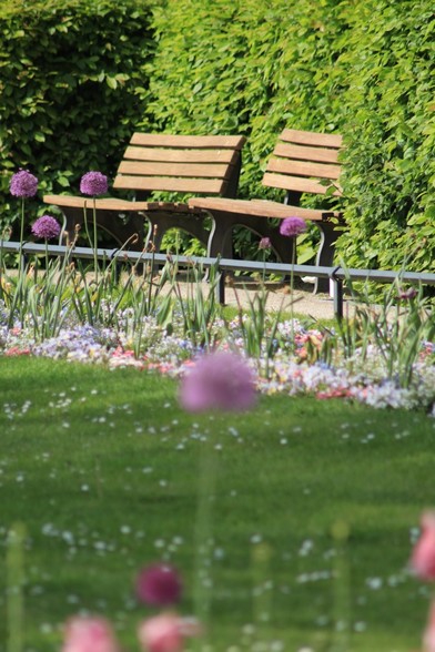 Im Vordergrund Blumen, dahinter Rasen mit weiteren Blumen und zwei Bänken, die in eine hecke eingefasst sind.