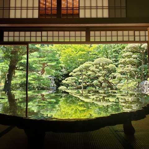 The garden at Omuro-tei reflected in the sitting room's polished table.