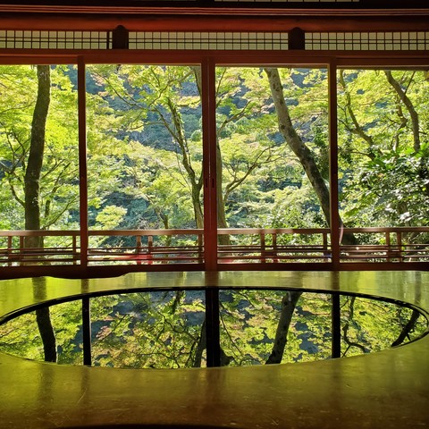The fresh green leaves of spring caught in the mirrored table at Yusai-tei.