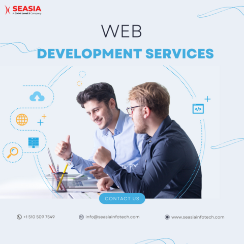 web development service