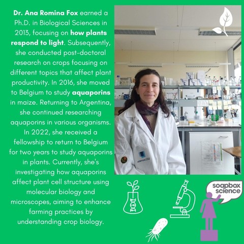 Photo of Ana Romina Fox in the lax with the following text: "Dr Ana Romina Fox earned a PhD in Biological Sciences in 2013, focusing on how plants respond to light. Subsequently, she conducted post-doctoral research on crops focusing on different topics that affect plant productivity. In 2016, she moved to Belgium to study aquaporins in maize. Returning to Argentina, she continued researching aquaporins in various organisms. In 2022 she received a fellowship to return to Belgium for two years to study aquaporins in plants. Currently, she's investigating how aquaporins affect plant cell structure using molecular biology and microscopes, aiming to enhance farming practices by understanding crop biology."