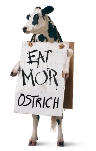 Chik fil a cow with sign: eat mor ostrich