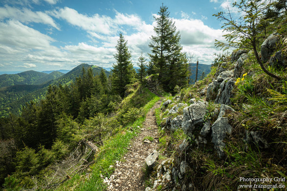 A serene scene of a trail winding through a mountainous landscape is captured in this image. The trail cuts through a forest of tall trees, with green leaves and a mixture of grass and rocks covering the ground. In the background, a clear blue sky with fluffy white clouds can be seen, adding a sense of tranquility to the rugged terrain. The dominant colors in the image are black and white, with accents of a deep blue hue. The image evokes a sense of adventure and exploration in a remote wildern…