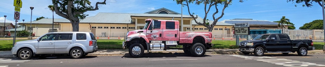 A USA-sized silver SUV, a pink 4-by-4 truck, and USA-normal sized black pickup truck parked along the road in front of a public school. The pink truck is twice as high as the other vehicles.