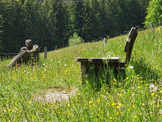 A black bench is positioned in the center of a vast grassy field, surrounded by a backdrop of lush greenery. The grass is neatly trimmed, creating a serene and inviting atmosphere. The bench is made of wood and appears to be weathered but well-maintained. There are no people in the scene, allowing for a peaceful and solitary experience. In the distance, there are trees and a fence visible, adding to the natural beauty of the landscape. The overall setting exudes tranquility and a sense of conne…