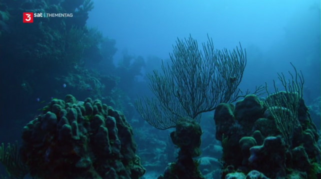 Western Europe is bordered by a sea dominated by extremes: the Atlantic. Strong storms brew there and rare animal species live there. The series presents the "Ocean of Extremes".