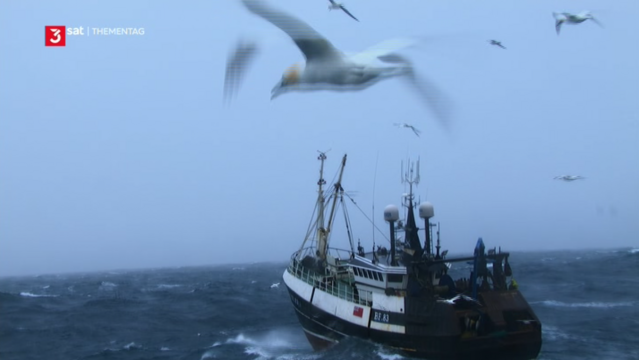 Western Europe is bordered by a sea dominated by extremes: the Atlantic. Strong storms brew there and rare animal species live there. The series presents the "Ocean of Extremes".