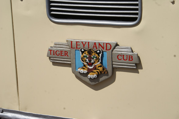 close up of the silver insignia on the front that says, in red Leyland Tiger Cub with a colour illustration of an actual tiger cub in the centre. This is just below the radiator grill surrounded by the cream paintwork