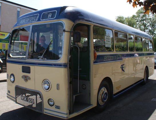 1952 vintage bus cream with blue side stripe and roof. The word bluebird in cream punctuates the navy blue stripe and a silhouette of a bluebird in blue is painted within the cream. Tope front the destination says Aberfoyle and the number 8