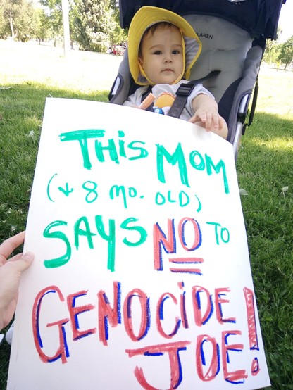 Picture of my baby son sitting in a stroller. In front of him, I am holding a sign where I wrote, "This mom (and 8 month old) says NO to GENOCIDE JOE!" 