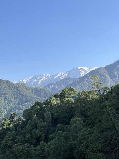 View of the Himalayan Mountains from outside our hotel in MacLeodganj, India. 