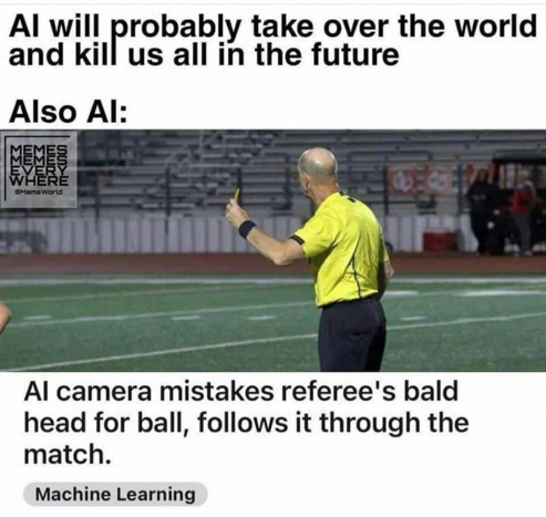 AI will probably take over the world and kill us all in the future

Also AI:

AI camera mistakes referee's bald head for ball, follows it through the match.