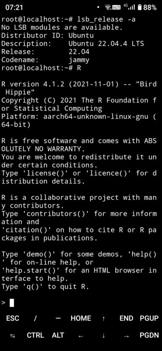 R running in Ubuntu on termux in Android using AnLinux