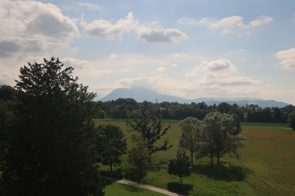 Hochstaufen und Freisaalwiesen